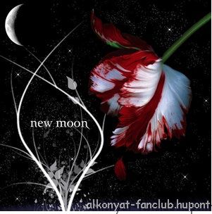 new_moon.jpg